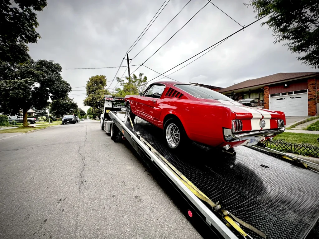 Long-Distance Transport for Your Treasure