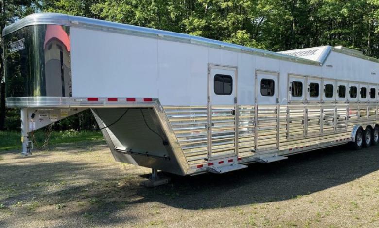 Horse on Trailer Ride
